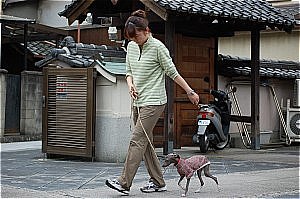 トレーナー紅美さんと「寺犬」サラ